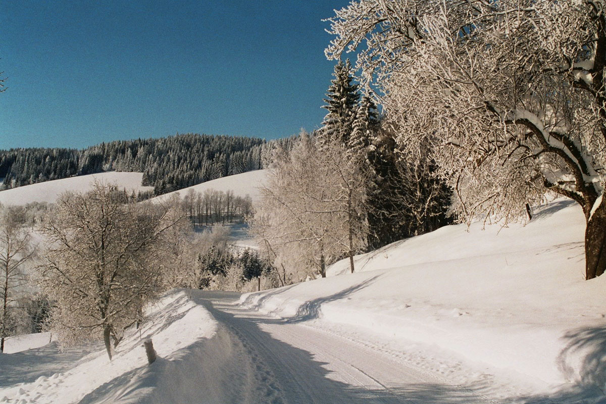 Straße mit Schnee bedeckt und rundherum Schneelandschaft bei Urlaub am Bauernhof Grabenhofer