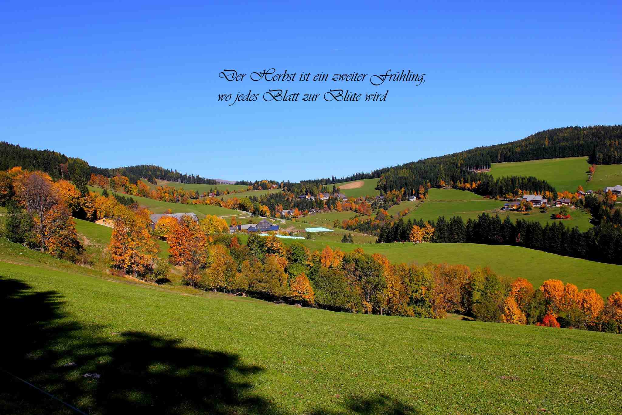 Herbst mit Text