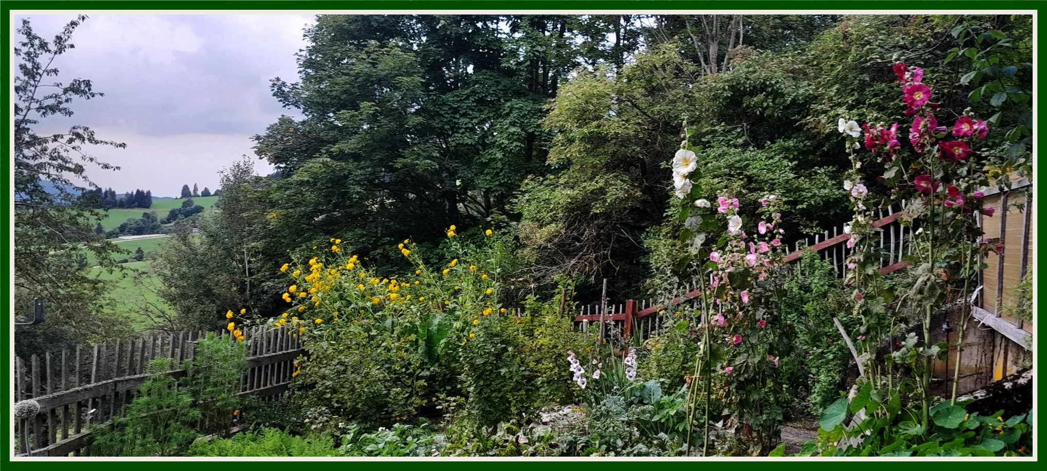 Garten 23