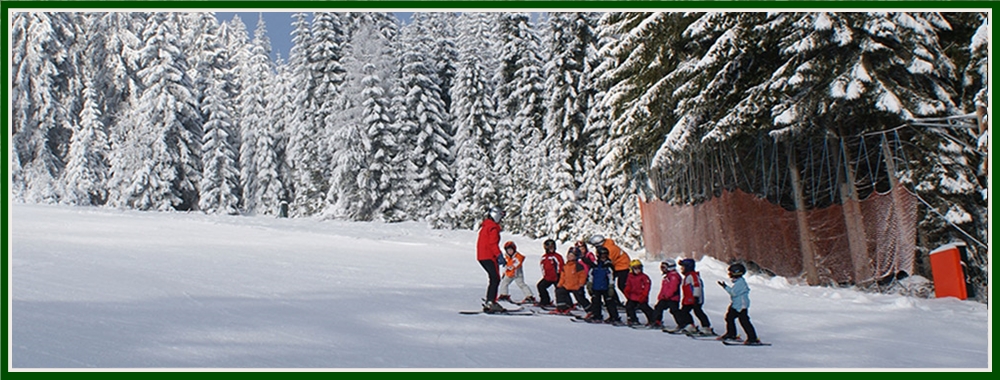 winterguppe1000x350